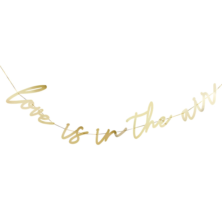 Gold 'Love Is In The Air' Banner 2m