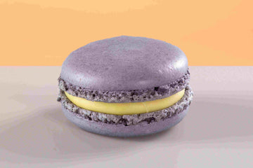 Lavender & Blueberry Macaron