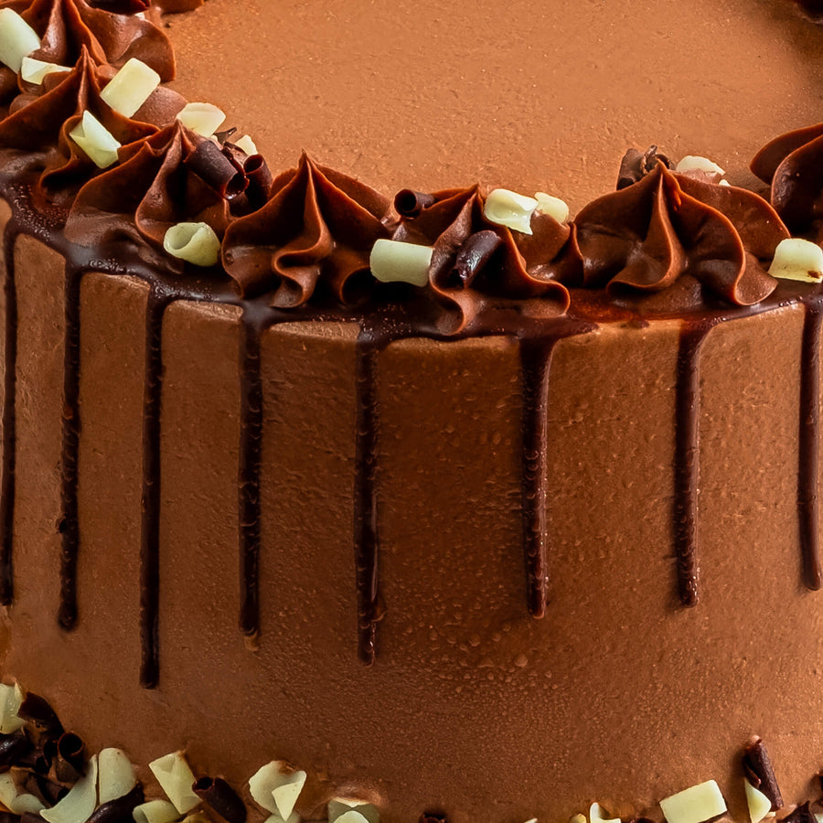 Ultimate Chocolate Party Cake